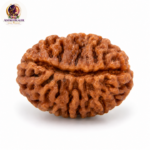 1 Mukhi Rudraksha – Premium Sacred Rudraksha