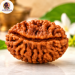 1 Mukhi Rudraksha – Premium Sacred Rudraksha - Image 2