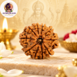 10 Mukhi Rudraksha – Sacred Spiritual Bead for Peace, Positivity & Protection - Image 3