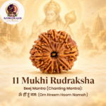 11 Mukhi Rudraksha – Sacred Spiritual Bead for Courage, Wisdom & Confidence - Image 3