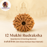 12 Mukhi Rudraksha – Sacred Spiritual Bead for Leadership, Confidence & Radiance - Image 3