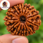 15 Mukhi Rudraksha – Sacred Spiritual Bead for Emotional Balance, Peace & Harmony - Image 2