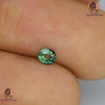 Alexandrite – 0.20 Carats - Image 2