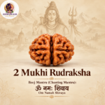 2 Mukhi Rudraksha – Sacred Spiritual Bead for Harmony & Balance - Image 2