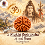 3 Mukhi Rudraksha – Sacred Spiritual Bead for Inner Strength & Transformation - Image 2