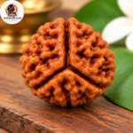 3 Mukhi Rudraksha – Sacred Spiritual Bead for Inner Strength & Transformation - Image 4