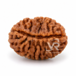 1 Mukhi Rudraksha – Premium Sacred Rudraksha
