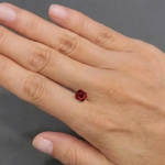 Pigeon Blood Ruby - 1.52 Carats - Image 2