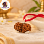 Gauri Shankar Rudraksha – Sacred Bead of Lord Shiva & Goddess Parvati for Love, Unity & Harmony - Image 3