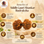 Gauri Shankar Rudraksha – Sacred Bead of Lord Shiva & Goddess Parvati for Love, Unity & Harmony - Image 4